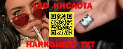 бошки Новозыбков