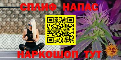 бошки Новозыбков