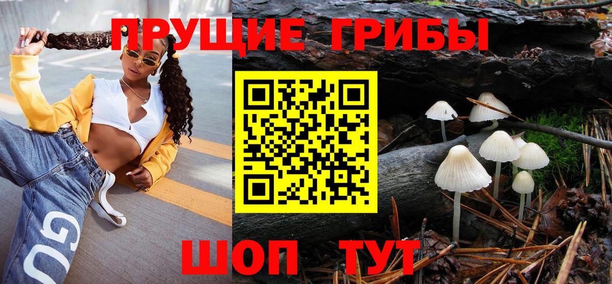 Галлюциногенные грибы Cubensis  Псилоцибиновые грибы прущие грибы  Буйнакск  продажа наркотиков  Вход с VPN 
